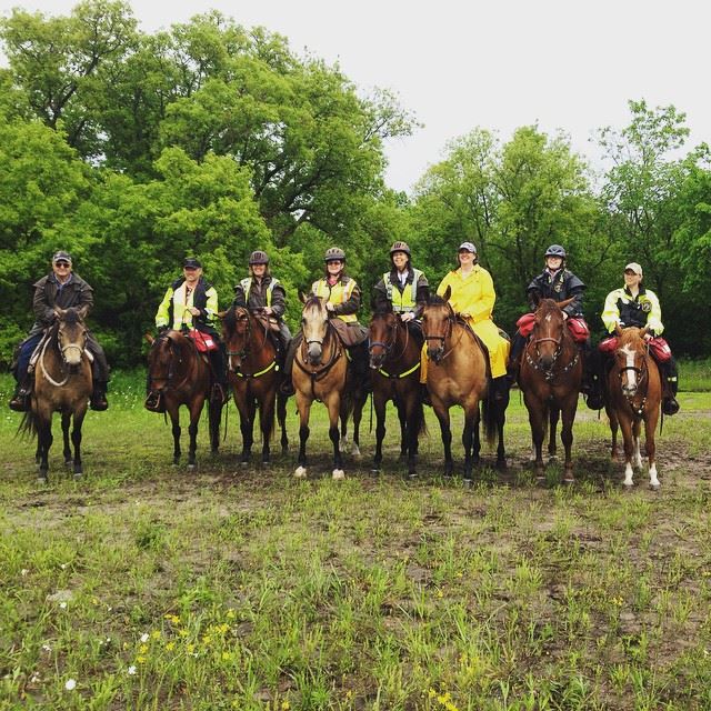 Members of Polk, Cass, and Hubbard Co. Search and Rescue Training on Horses