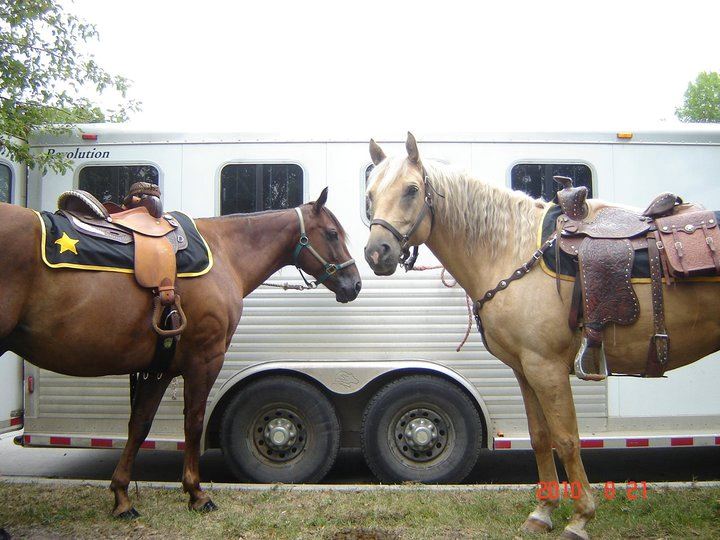 Two Horses from Heritage Days Parade 2010