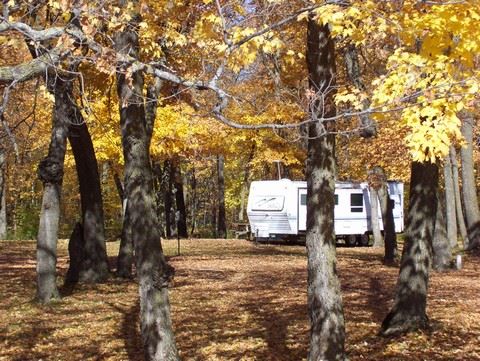 RV Parked in Trees at Cross Lake-Tilberg Park