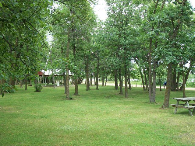 Rows of Trees and Shelter in Background at Roadside Park