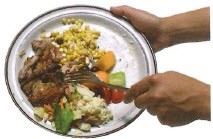 Organics Scraping Plate