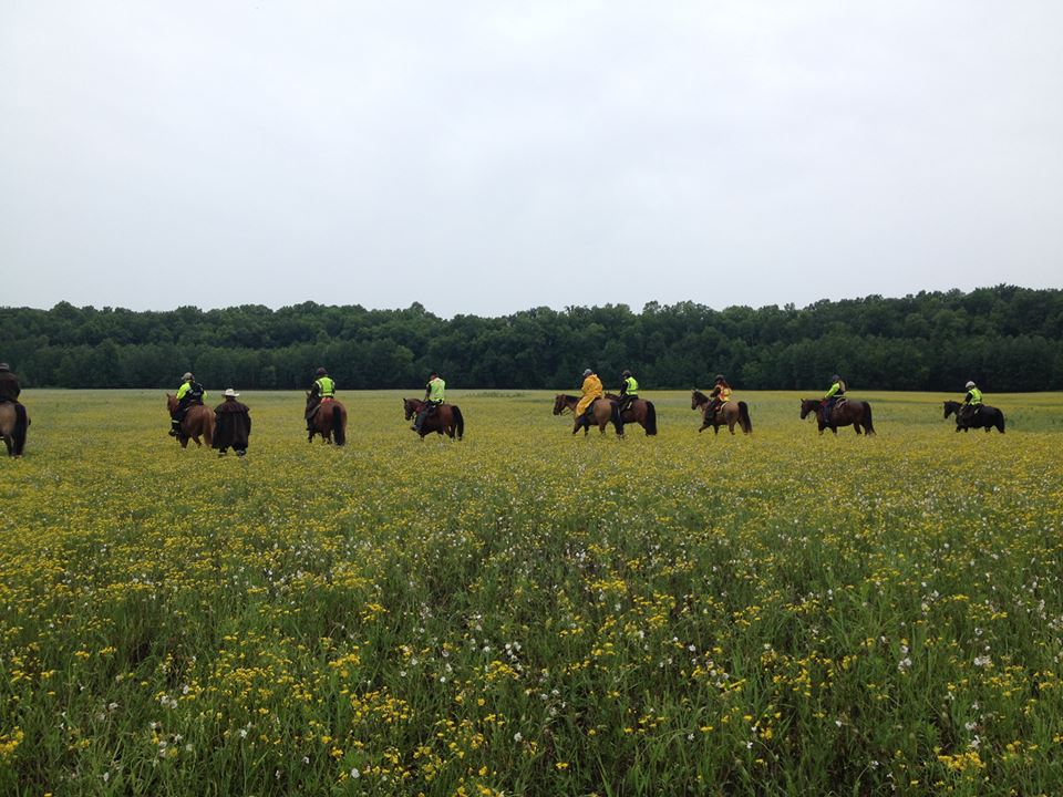 Line Search on Junior Day
